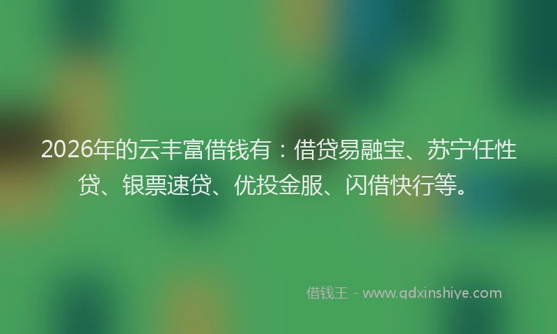 2026年的云丰富借钱有：借贷易融宝、苏宁任性贷、银票速贷、优投金服、闪借快行等。