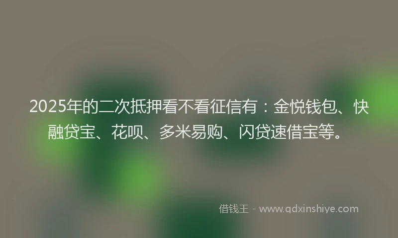 2025年的二次抵押看不看征信有:金悦钱包、快融贷宝、花呗、多米易购、闪贷速借宝等。