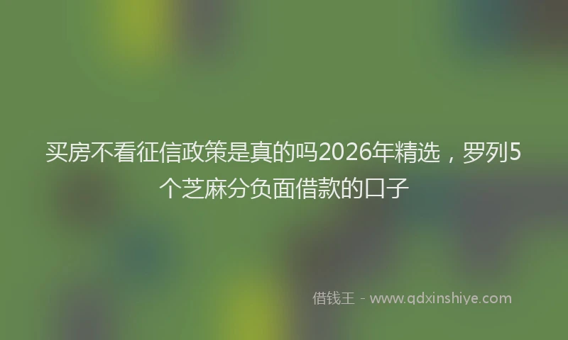 买房不看征信政策是真的吗2026年精选，罗列5个芝麻分负面借款的口子