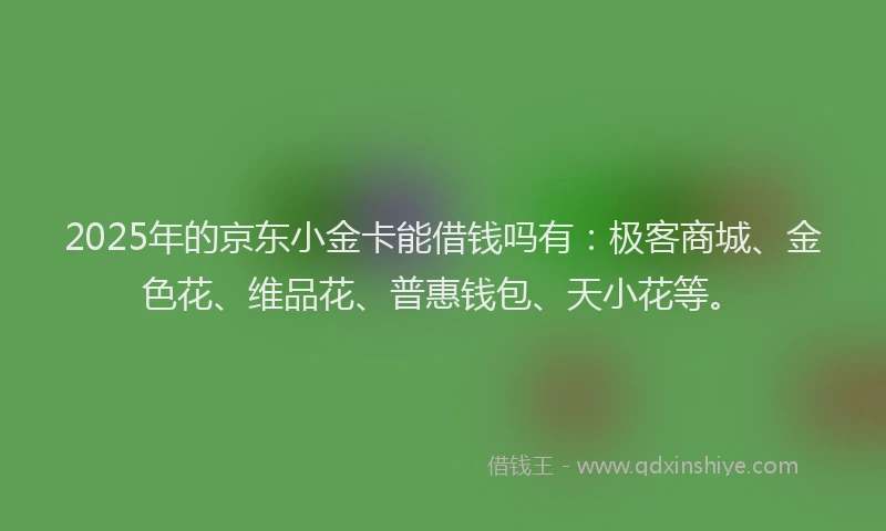 2025年的京东小金卡能借钱吗有：极客商城、金色花、维品花、普惠钱包、天小花等。