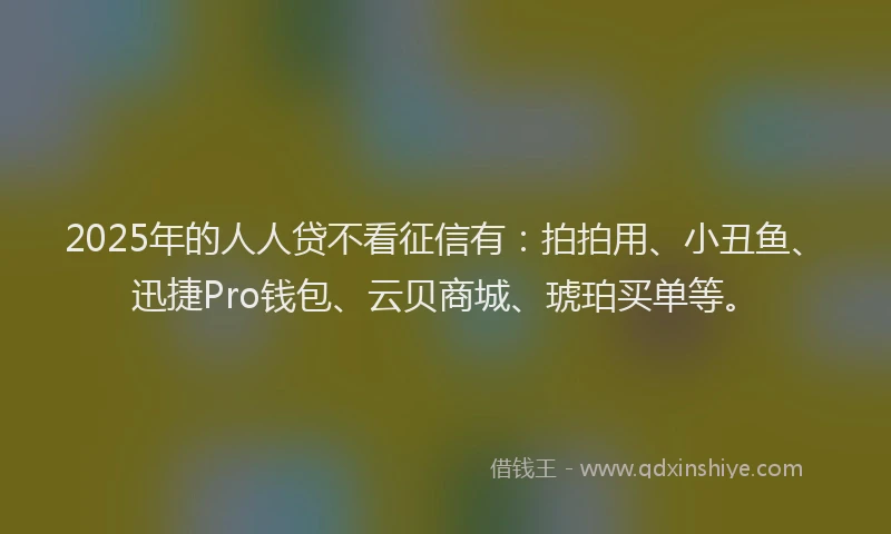 2025年的人人贷不看征信有:拍拍用、小丑鱼、迅捷Pro钱包、云贝商城、琥珀买单等。