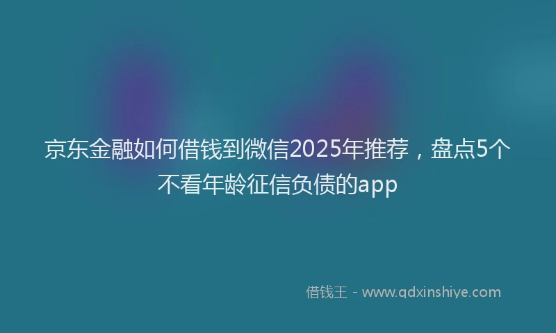 京东金融如何借钱到微信2025年推荐，盘点5个不看年龄征信负债的app