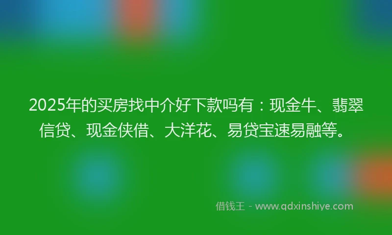2025年的买房找中介好下款吗有:现金牛、翡翠信贷、现金侠借、大洋花、易贷宝速易融等。