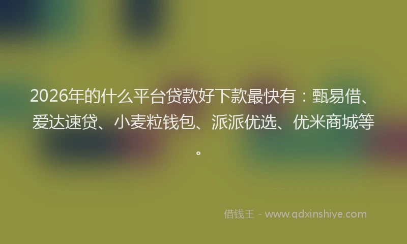 2026年的什么平台贷款好下款最快有:甄易借、爱达速贷、小麦粒钱包、派派优选、优米商城等。