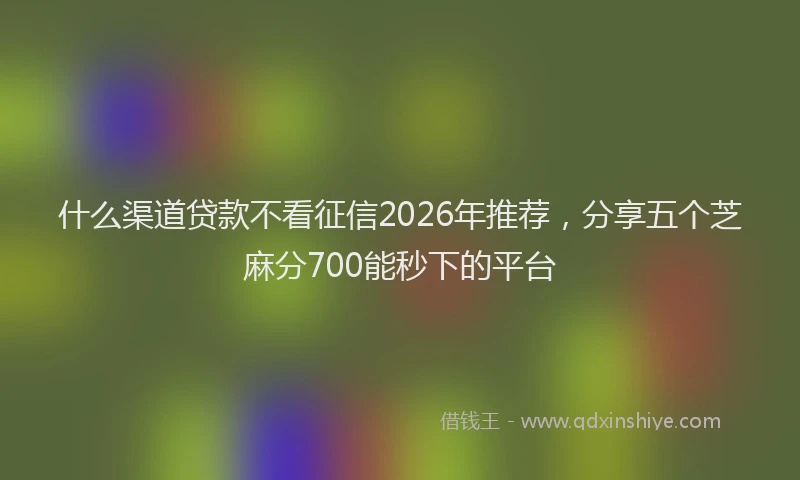 什么渠道贷款不看征信2026年推荐，分享五个芝麻分700能秒下的平台