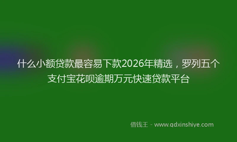 什么小额贷款最容易下款2026年精选，罗列五个支付宝花呗逾期万元快速贷款平台