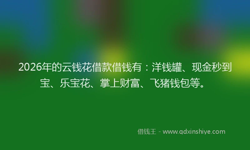 2026年的云钱花借款借钱有:洋钱罐、现金秒到宝、乐宝花、掌上财富、飞猪钱包等。