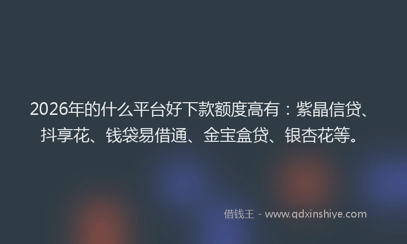 2026年的什么平台好下款额度高有:紫晶信贷、抖享花、钱袋易借通、金宝盒贷、银杏花等。