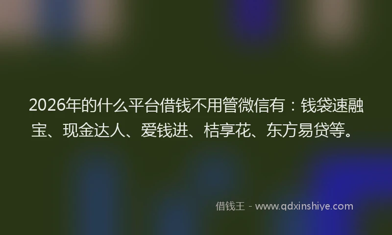 2026年的什么平台借钱不用管微信有：钱袋速融宝、现金达人、爱钱进、桔享花、东方易贷等。