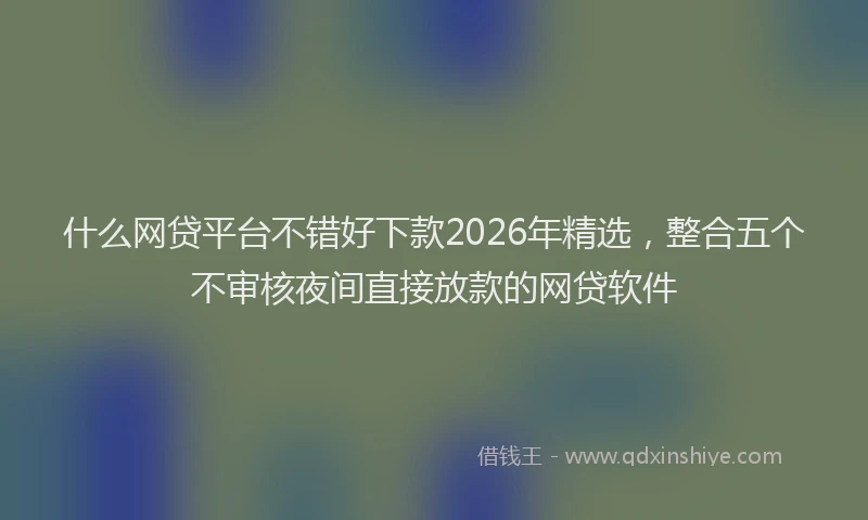 什么网贷平台不错好下款2026年精选,整合五个不审核夜间直接放款的网贷软件