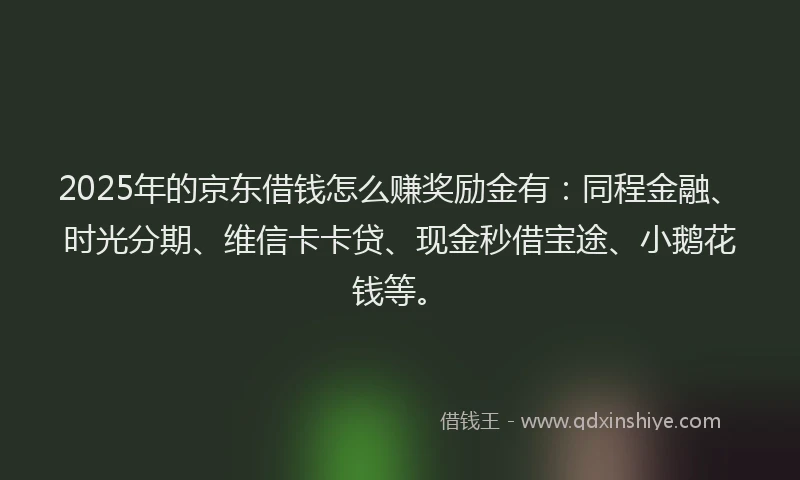 2025年的京东借钱怎么赚奖励金有：同程金融、时光分期、维信卡卡贷、现金秒借宝途、小鹅花钱等。
