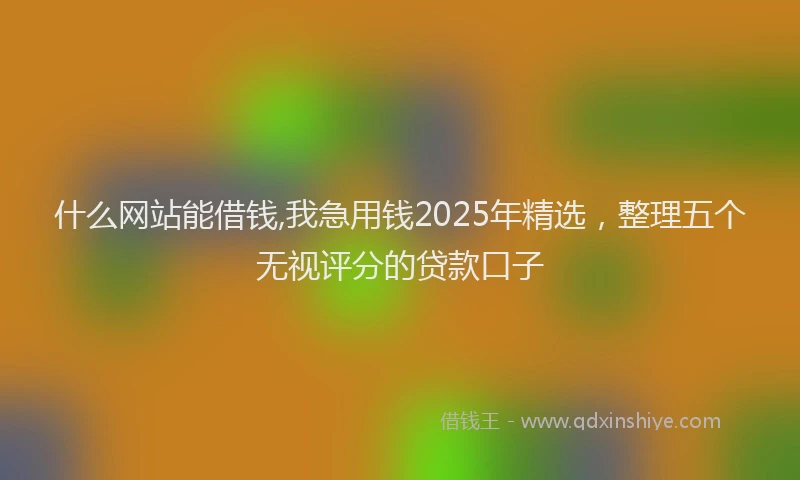 什么网站能借钱,我急用钱2025年精选，整理五个无视评分的贷款口子