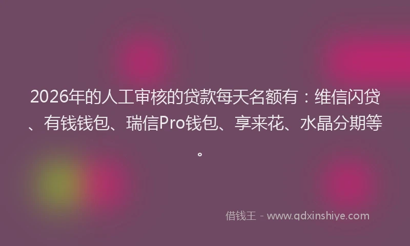 2026年的人工审核的贷款每天名额有：维信闪贷、有钱钱包、瑞信Pro钱包、享来花、水晶分期等。