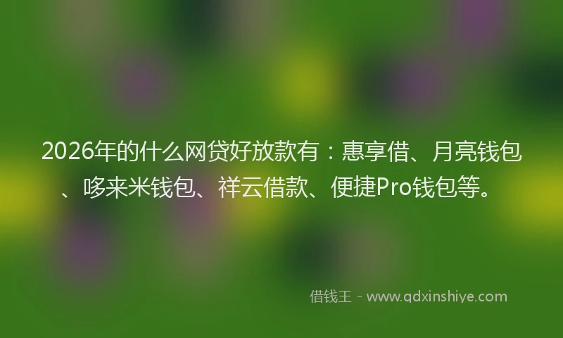 2026年的什么网贷好放款有：惠享借、月亮钱包、哆来米钱包、祥云借款、便捷Pro钱包等。