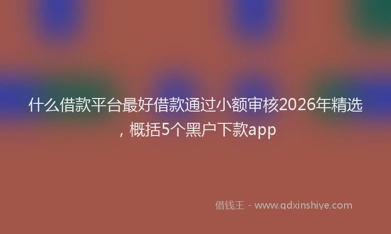 什么借款平台最好借款通过小额审核2026年精选，概括5个黑户下款app
