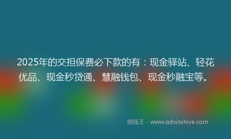 2025年的交担保费必下款的有:现金驿站、轻花优品、现金秒贷通、慧融钱包、现金秒融宝等。