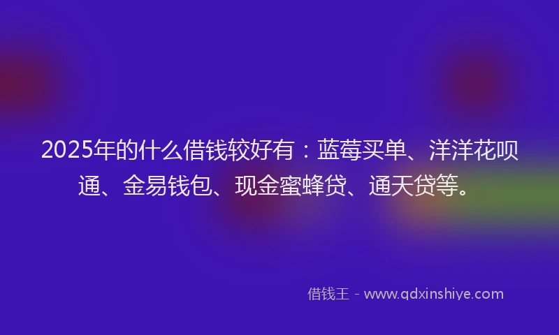 2025年的什么借钱较好有：蓝莓买单、洋洋花呗通、金易钱包、现金蜜蜂贷、通天贷等。