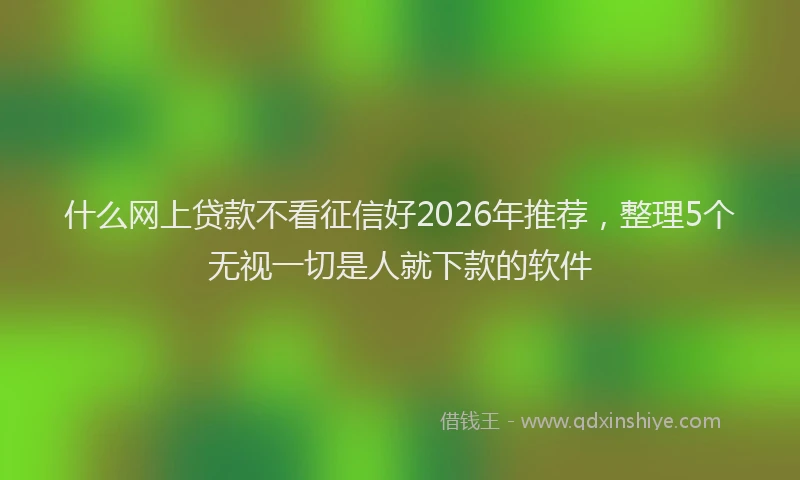 什么网上贷款不看征信好2026年推荐，整理5个无视一切是人就下款的软件