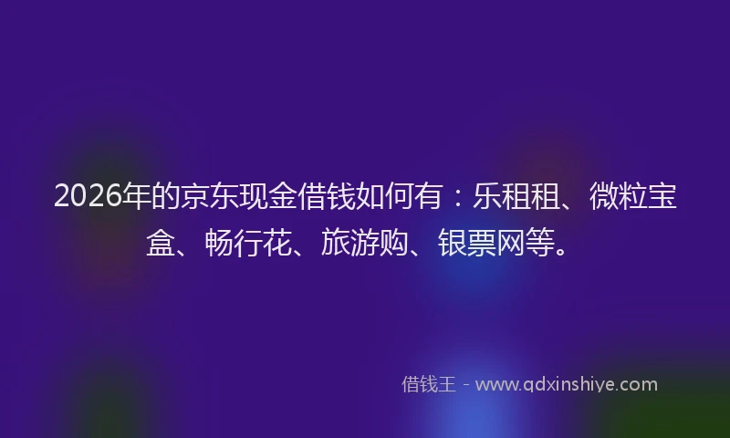 2026年的京东现金借钱如何有：乐租租、微粒宝盒、畅行花、旅游购、银票网等。