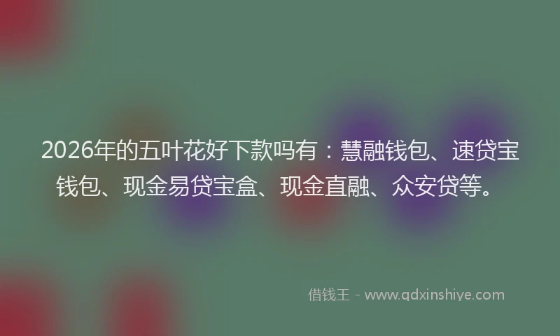 2026年的五叶花好下款吗有:慧融钱包、速贷宝钱包、现金易贷宝盒、现金直融、众安贷等。