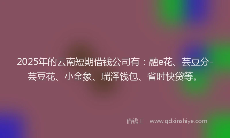 2025年的云南短期借钱公司有：融e花、芸豆分-芸豆花、小金象、瑞泽钱包、省时快贷等。