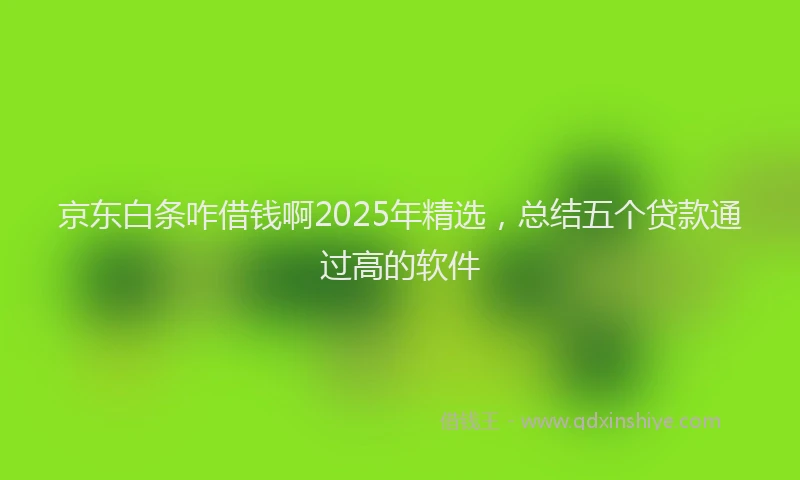 京东白条咋借钱啊2025年精选，总结五个贷款通过高的软件