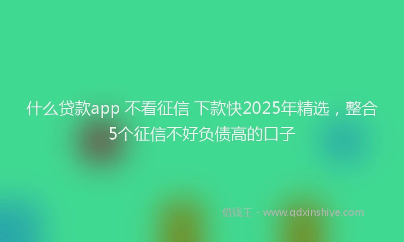 什么贷款app 不看征信 下款快2025年精选，整合5个征信不好负债高的口子