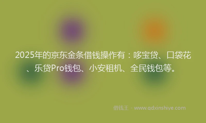 2025年的京东金条借钱操作有：哆宝贷、口袋花、乐贷Pro钱包、小安租机、全民钱包等。