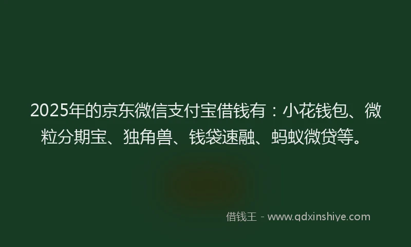 2025年的京东微信支付宝借钱有：小花钱包、微粒分期宝、独角兽、钱袋速融、蚂蚁微贷等。