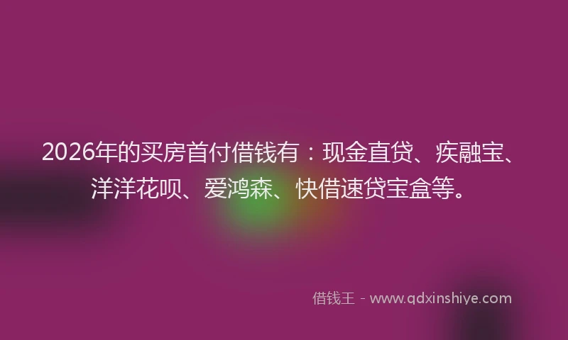 2026年的买房首付借钱有：现金直贷、疾融宝、洋洋花呗、爱鸿森、快借速贷宝盒等。