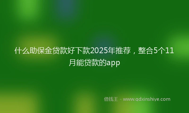 什么助保金贷款好下款2025年推荐，整合5个11月能贷款的app