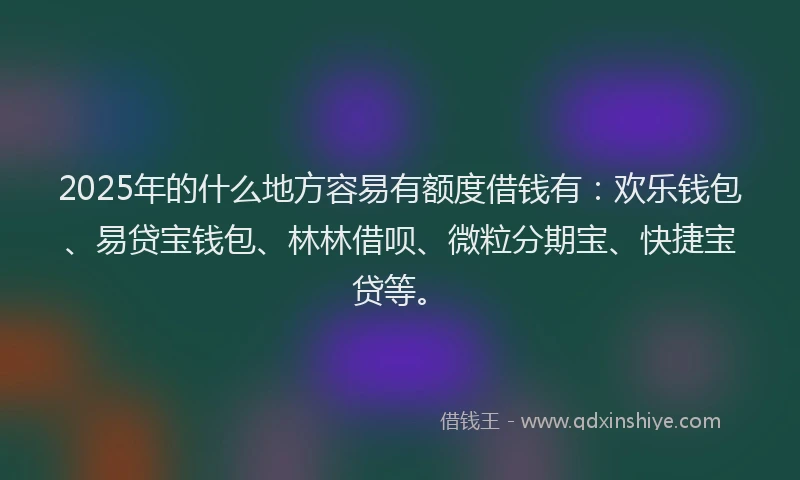 2025年的什么地方容易有额度借钱有：欢乐钱包、易贷宝钱包、林林借呗、微粒分期宝、快捷宝贷等。