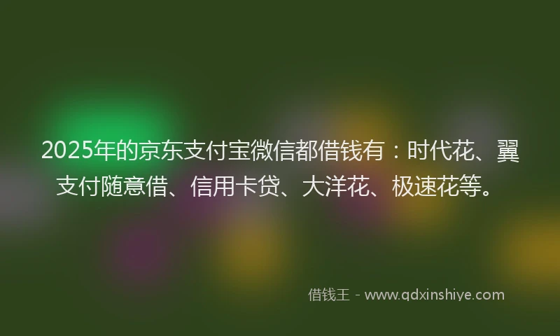 2025年的京东支付宝微信都借钱有：时代花、翼支付随意借、信用卡贷、大洋花、极速花等。
