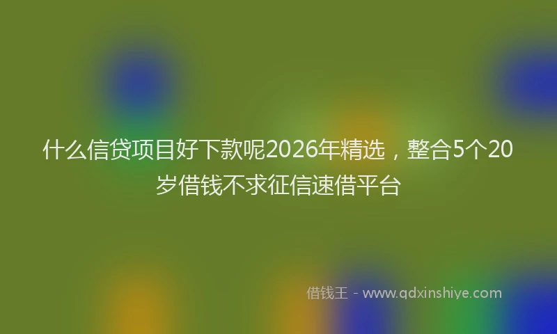 什么信贷项目好下款呢2026年精选，整合5个20岁借钱不求征信速借平台
