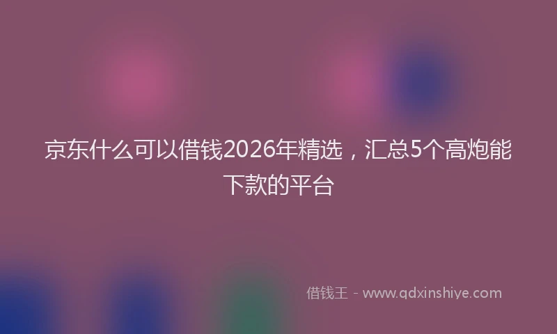 京东什么可以借钱2026年精选，汇总5个高炮能下款的平台