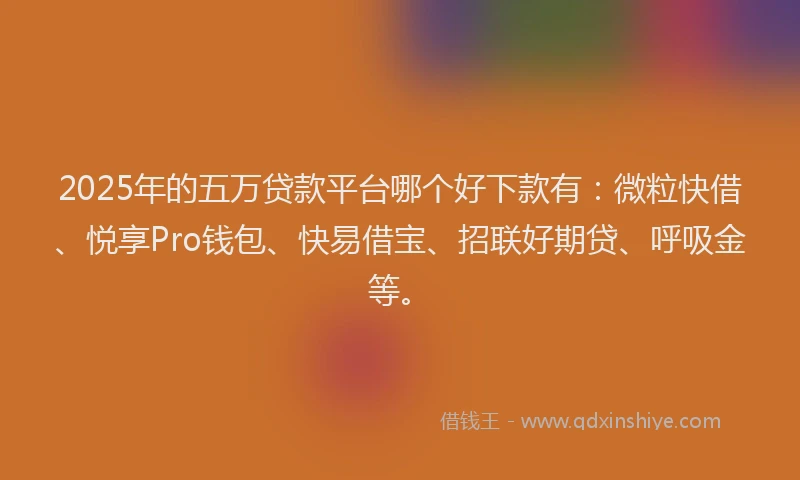 2025年的五万贷款平台哪个好下款有：微粒快借、悦享Pro钱包、快易借宝、招联好期贷、呼吸金等。