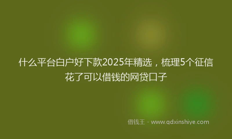 什么平台白户好下款2025年精选,梳理5个征信花了可以借钱的网贷口子
