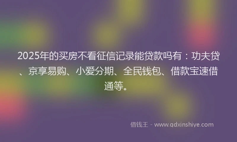 2025年的买房不看征信记录能贷款吗有：功夫贷、京享易购、小爱分期、全民钱包、借款宝速借通等。