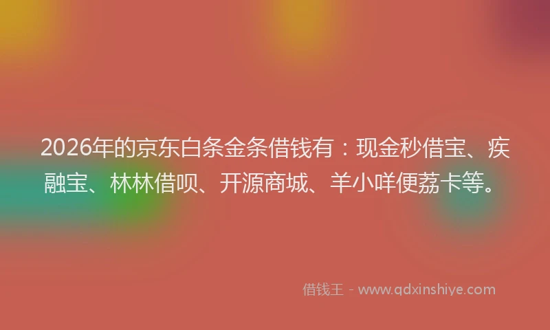 2026年的京东白条金条借钱有：现金秒借宝、疾融宝、林林借呗、开源商城、羊小咩便荔卡等。