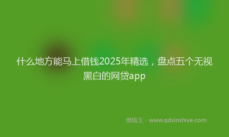 什么地方能马上借钱2025年精选，盘点五个无视黑白的网贷app
