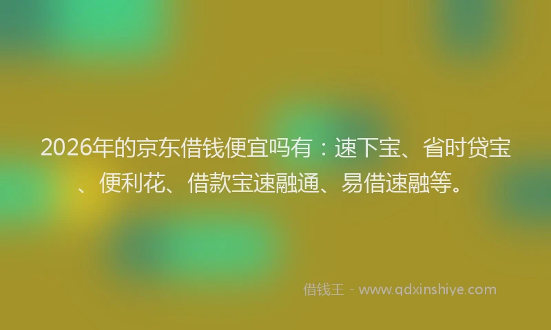 2026年的京东借钱便宜吗有：速下宝、省时贷宝、便利花、借款宝速融通、易借速融等。