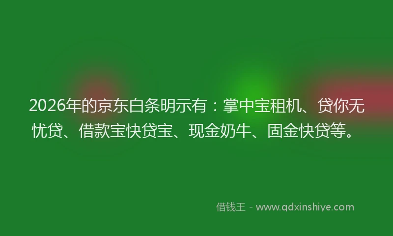 2026年的京东白条明示有：掌中宝租机、贷你无忧贷、借款宝快贷宝、现金奶牛、固金快贷等。