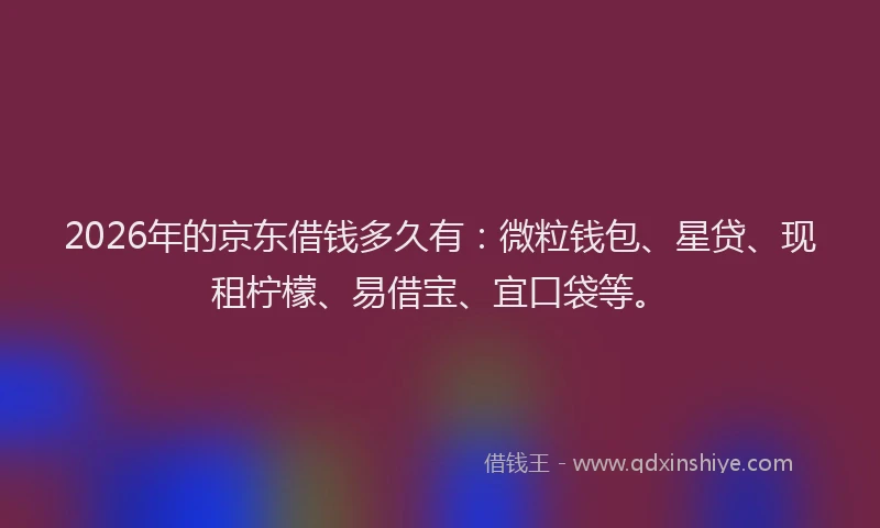 2026年的京东借钱多久有:微粒钱包、星贷、现租柠檬、易借宝、宜口袋等。