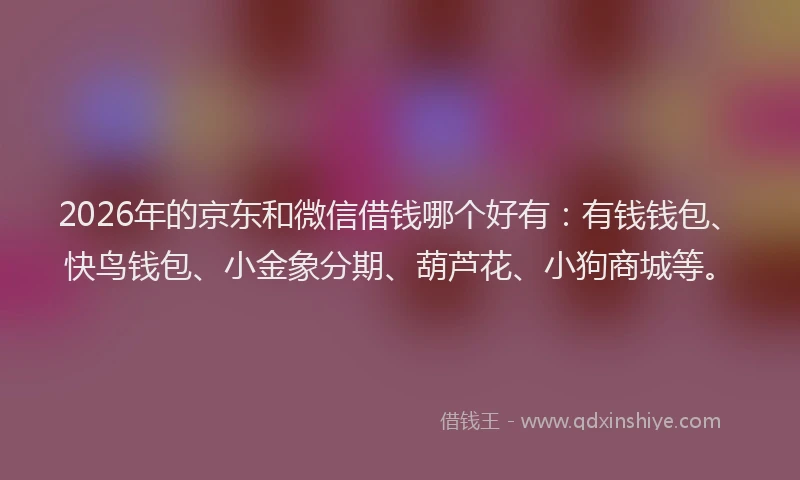 2026年的京东和微信借钱哪个好有：有钱钱包、快鸟钱包、小金象分期、葫芦花、小狗商城等。