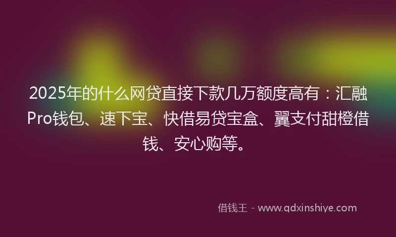 2025年的什么网贷直接下款几万额度高有:汇融Pro钱包、速下宝、快借易贷宝盒、翼支付甜橙借钱、安心购等。