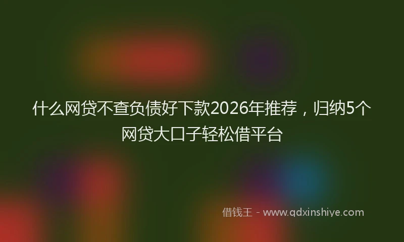 什么网贷不查负债好下款2026年推荐,归纳5个网贷大口子轻松借平台