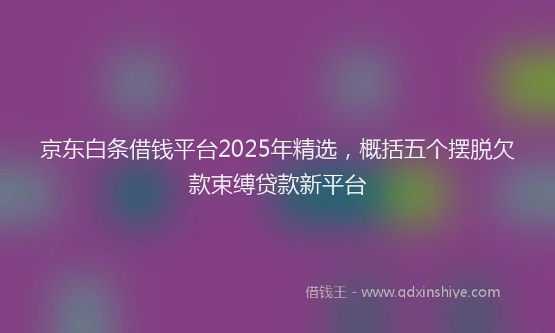 京东白条借钱平台2025年精选，概括五个摆脱欠款束缚贷款新平台