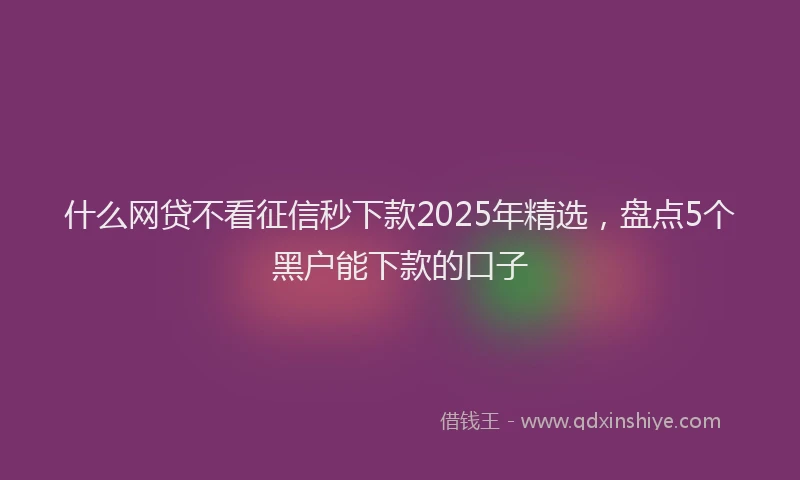 什么网贷不看征信秒下款2025年精选，盘点5个黑户能下款的口子