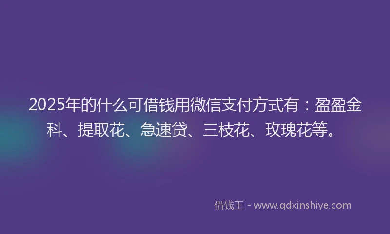 2025年的什么可借钱用微信支付方式有:盈盈金科、提取花、急速贷、三枝花、玫瑰花等。