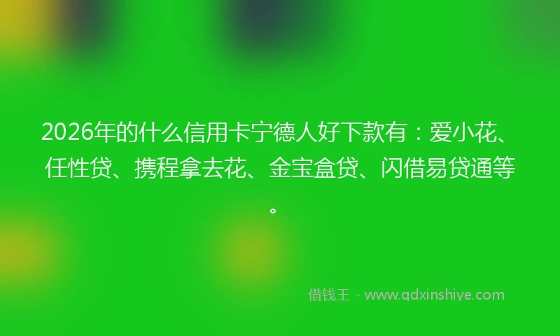 2026年的什么信用卡宁德人好下款有:爱小花、任性贷、携程拿去花、金宝盒贷、闪借易贷通等。